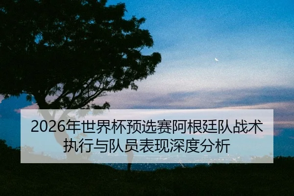 nian-shi-jie-bei-yu-xuan-sai-a-gen-ting-dui-zhan-shu-zhi-xing-yu-dui-yuan-biao-xian-shen-du-fen-xi-2-888.jpg