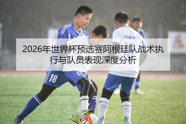 2026年世界杯预选赛阿根廷队战术执行与队员表现深度分析