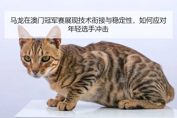 ma-long-zai-ao-men-guan-jun-sai-zhan-xian-ji-shu-xian-jie-yu-wen-ding-xing-ru-he-ying-dui-nian-qing-xuan-shou-chong-ji-3-413.jpg